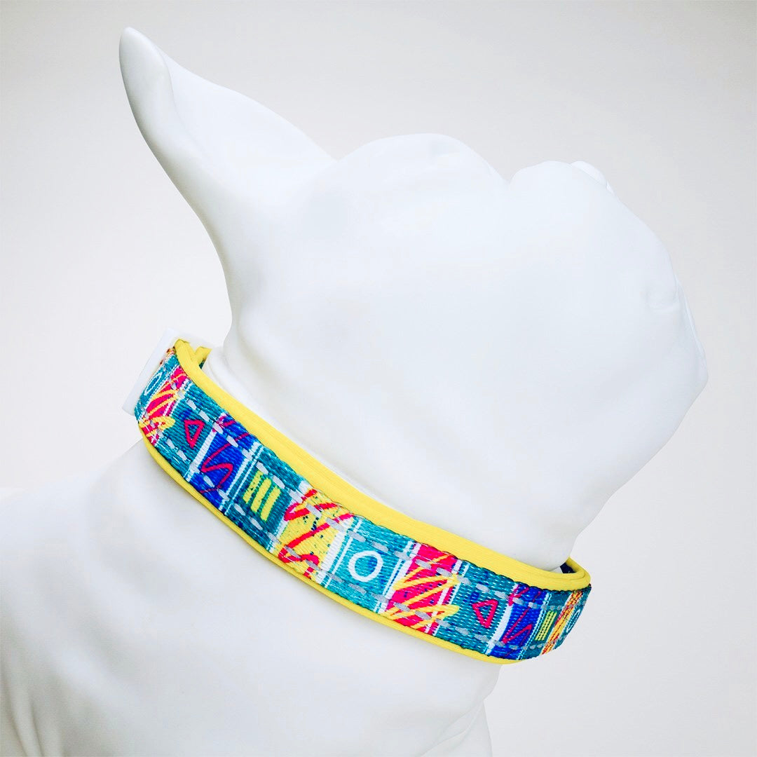 Retro Pet Adjustable Dog Collar 🐶 by Retro Pet | Mission Dispensary
