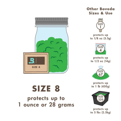Boveda 62% 2-Way Relative Humidity Control Packs (Size 8) by Boveda Inc. | Mission Dispensary