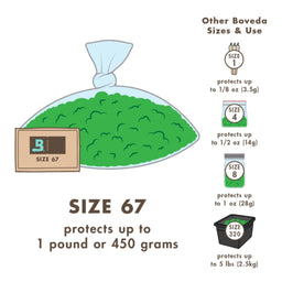 Boveda 62% 2-Way Relative Humidity Control (Size 67) by Boveda Inc. | Mission Dispensary