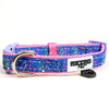 Retro Pet Adjustable Dog Collar 🐶 by Retro Pet | Mission Dispensary