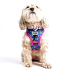 Retro Pet Dog Harness 🐶 by Retro Pet | Mission Dispensary