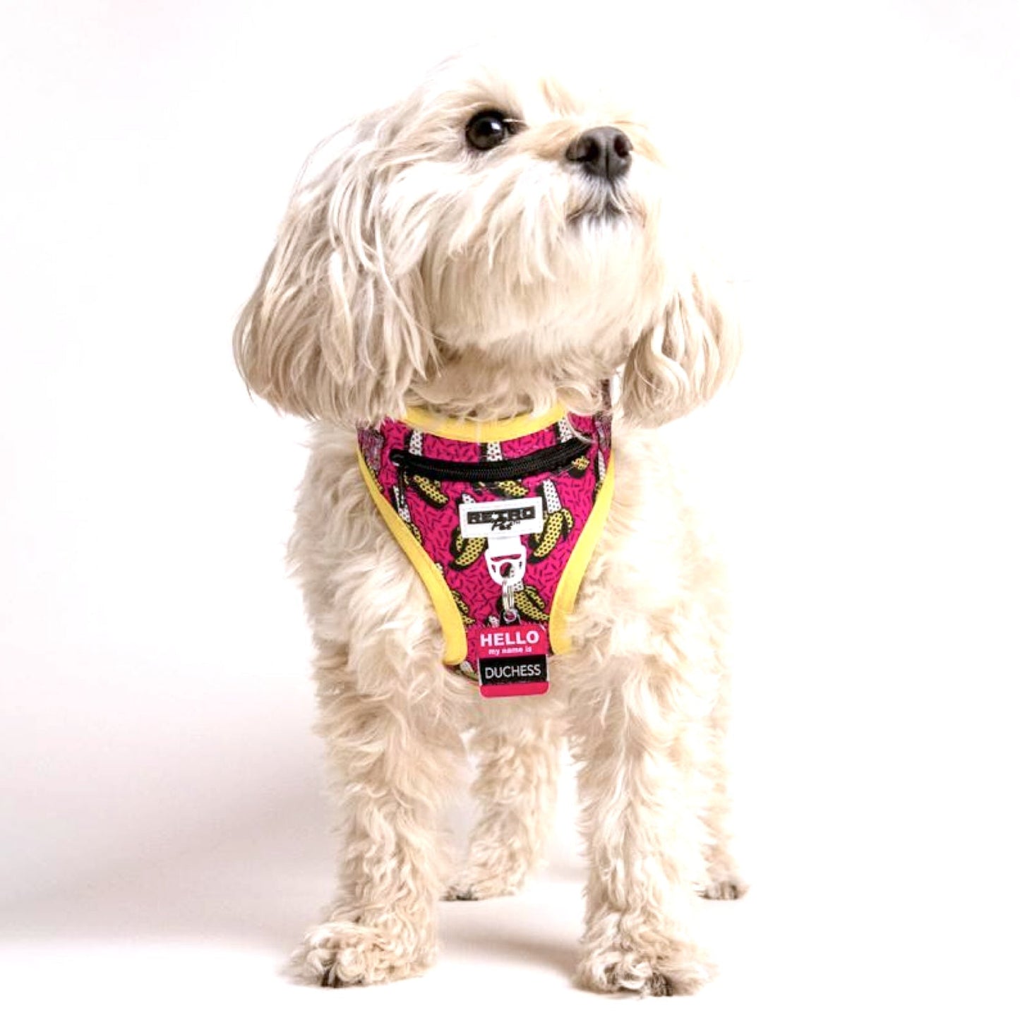 Retro Pet Dog Harness 🐶 by Retro Pet | Mission Dispensary