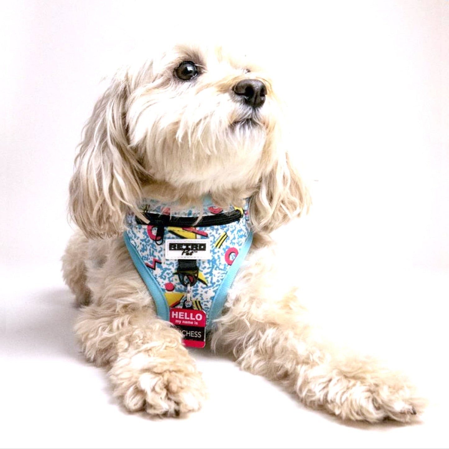 Retro Pet Dog Harness 🐶 by Retro Pet | Mission Dispensary