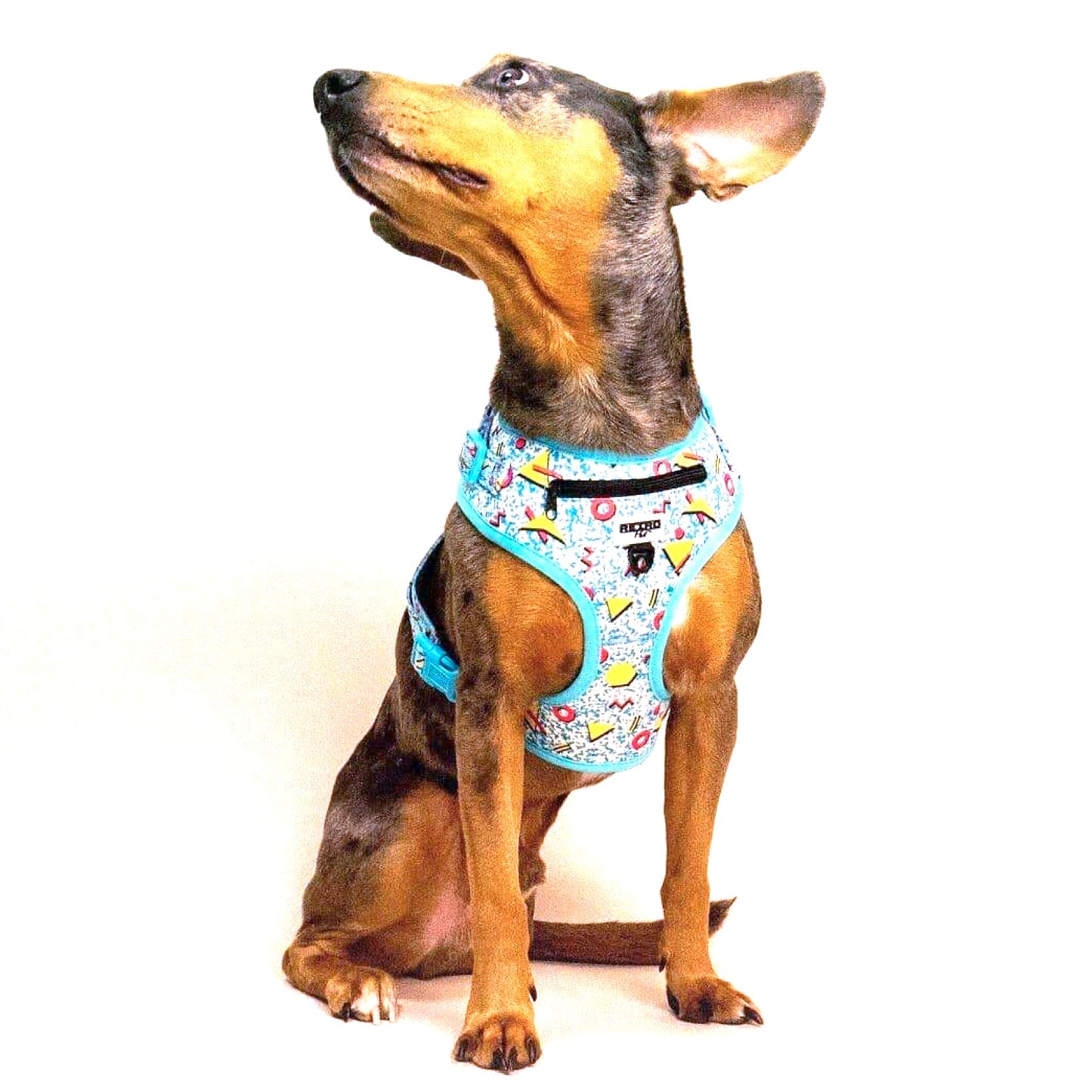 Retro Pet Dog Harness 🐶 by Retro Pet | Mission Dispensary