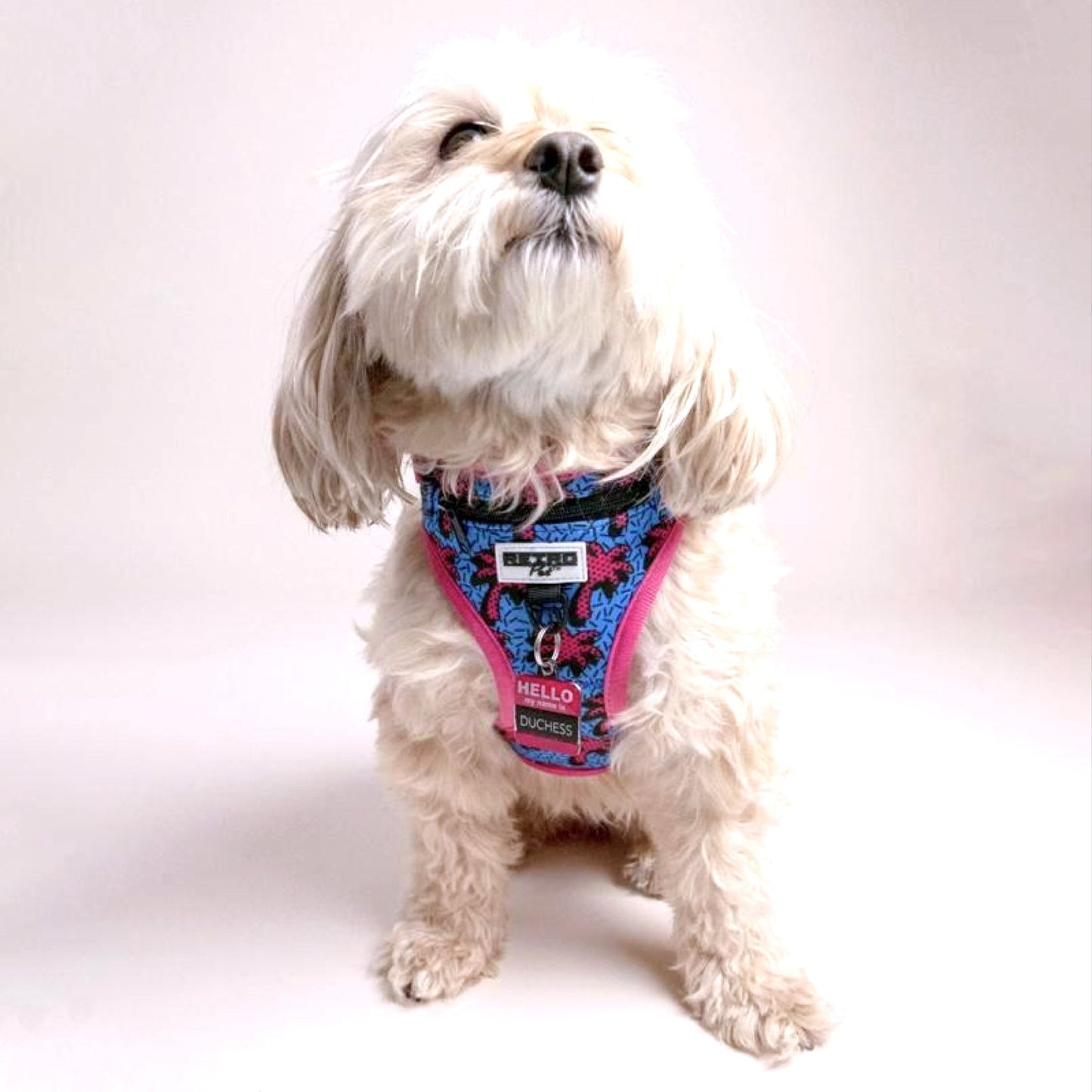 Retro Pet Dog Harness 🐶 by Retro Pet | Mission Dispensary