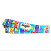 Retro Pet Reflective Dog Leash w. Locking Carabiner 🐶 by Retro Pet | Mission Dispensary